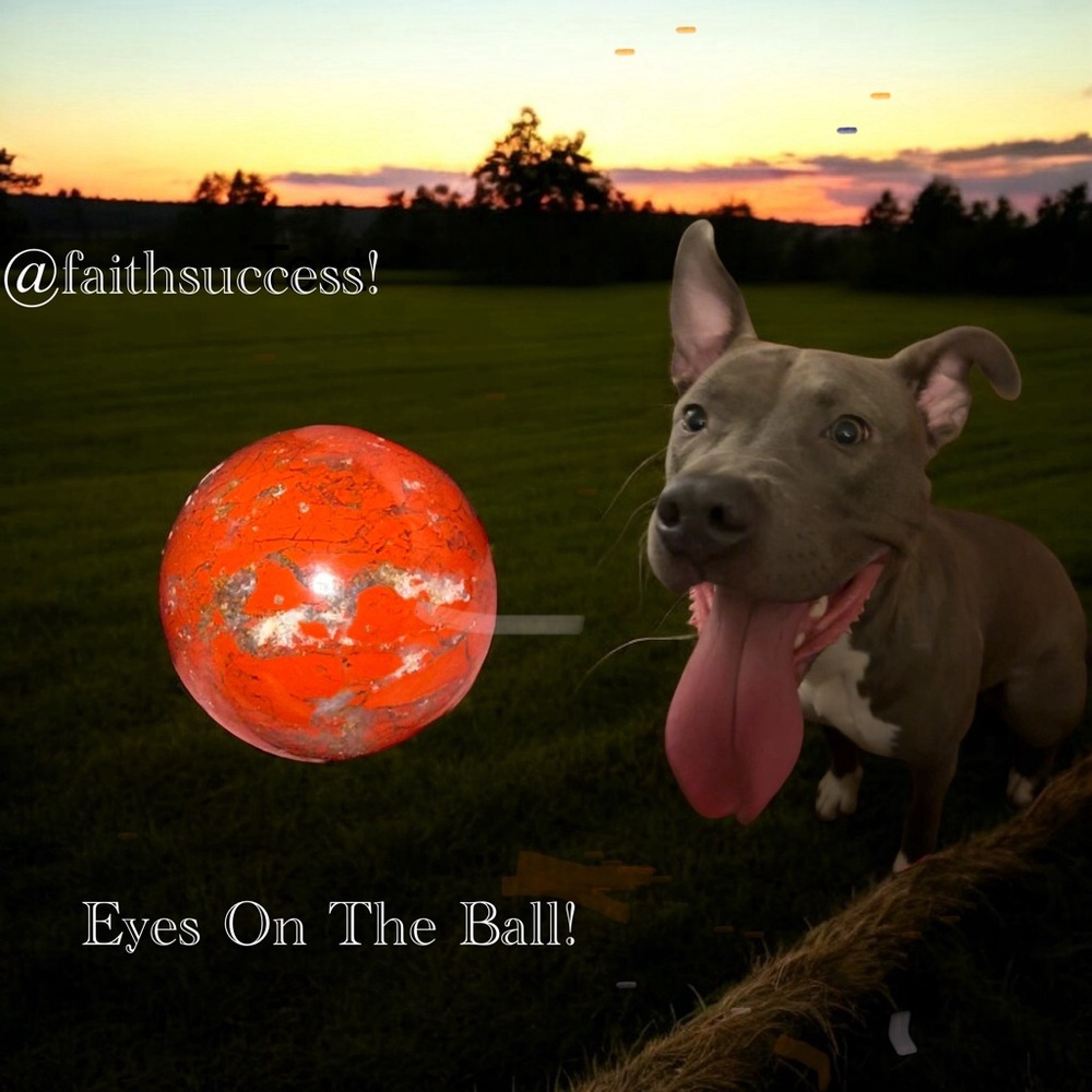 Chase that Brecciated Jasper Sphere!